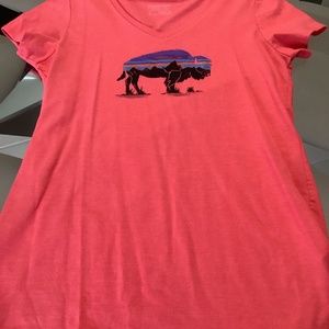 Patagonia tee. NWOT
